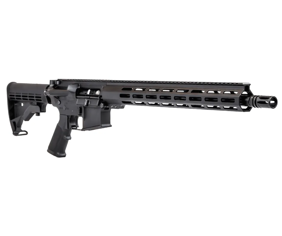WORKHORSE-LT-RESIZE-3.webp
