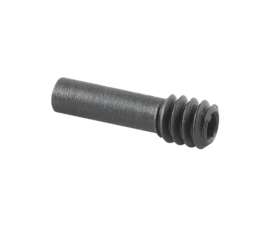[BAD-BCS] AR15/M16/M4 BAD BOLT CATCH SCREW