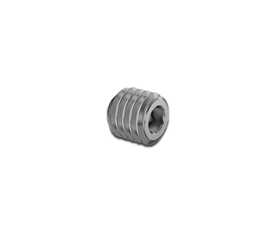 [WH-GB-SET-SCREW] WORKHORSE GAS BLOCK SET SCREW